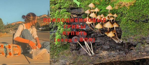скорость Алексин