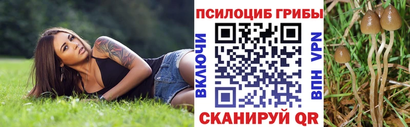 Галлюциногенные грибы мицелий  Снежногорск 